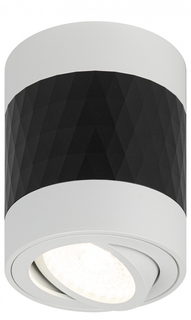 Светильник настенно-потолочный спот ЭРА OL33 WH/BK MR16 GU10 IP20 черный, белый (Б0056380) ERA