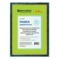 Набор из 5 шт, Рамка 21х30 см (390706) No Brand