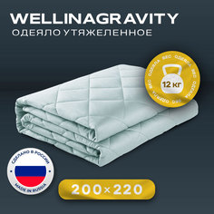 Утяжеленное сенсорное одеяло WELLINAGRAVITY 200х220 мятный 12кг WGS-22 Ol Tex