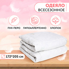 Одеяло "Сибирский гусь", 172*205 Kariguz