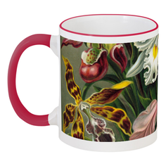 Кружка Printio с цветной ручкой и ободком Орхидеи (orchideae, ernst haeckel)