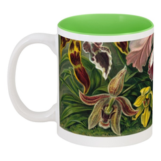 Кружка Printio цветная внутри Орхидеи (orchideae, ernst haeckel)