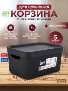 Корзина для хранения вещей, мелочей, косметики, с крышкой Rotho Jive Deco 5 л