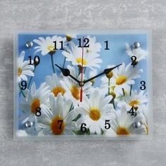 Часы настенные, серия: Цветы, "Ромашки", 20х25 см Сюжет