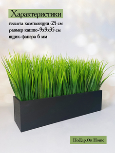 Осока в деревянном ящике, Декор, черный Подар.Ок Home
