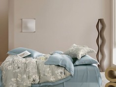 Постельное белье из сатина ASABELLA 2002-6 50х70 (2шт) и 70х70 (2шт) евро