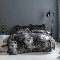 Постельное белье из микросатина TANGO DREAM FLY DF-394-50 50х70 (2шт) 2-спальное