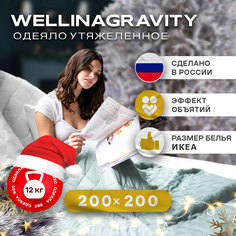 Утяжеленное сенсорное одеяло WELLINAGRAVITY 200х200 мятный 12кг WGS-20