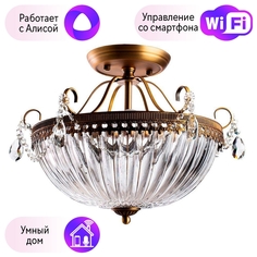 Потолочная люстра с поддержкой Алисы, комплект от Lustrof. №26178 Arte Lamp