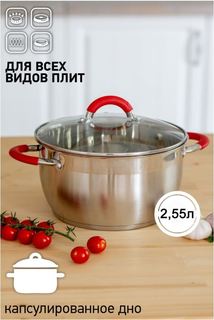 Кастрюля ASTIX SP-018255 2,5 литра