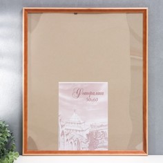 Фоторамка сосна с20 50х60 см (пластиковый экран) Зебра