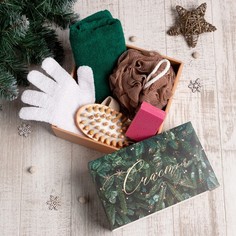Подарочный набор новогодний новогодний новогодний "Счастья" полотенце 30х60 см и банные ак Этель