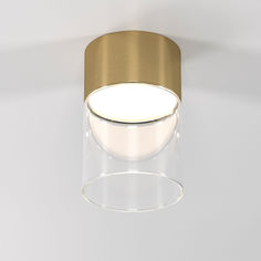 Потолочный светодиодный светильник Elektrostandard Lumen 25047/LED 4000К латунь/прозрачный