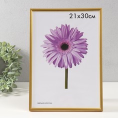 Фоторамка пластик Lida 21х30 см золото No Brand