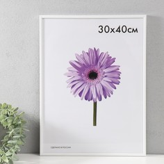 Фоторамка пластик Lida 30х40 см белый No Brand