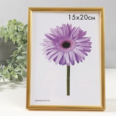 Фоторамка пластик Lida 15х20 см золото No Brand