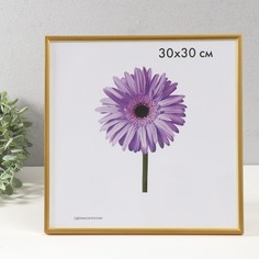 Фоторамка пластик Lida 30х30 см золото No Brand