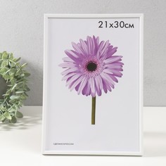 Фоторамка пластик Lida 21х30 см белый No Brand