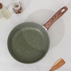 Сковорода Доляна «Форест», d=24 см, пластиковая ручка, антипригарное покрытие, цвет зелёны