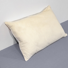 Подушка WELLNESS, L50B в сумке, 48x68
