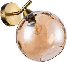 Бра Indigo Memoria V000094 11003/1W Cognac