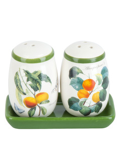 Набор для специй 2 шт керамический 11x6x8,5 см на подставке Fruit Garden Dolomite L2521143