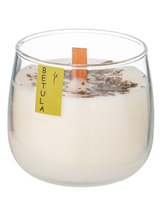 Свеча в стакане ароматизованная Adpal Новый Год 8 см 348-895