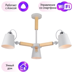 Потолочная люстра с поддержкой Алисы, комплект от Lustrof. №132217 Arte Lamp