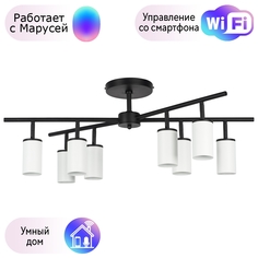 LR728368 Потолочная люстра Rullo Lightstar с поддержкой Маруся (комплект из 571728+214436-