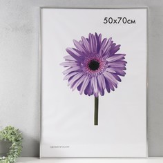 Фоторамка пластик Lida 50х70 см серебро No Brand