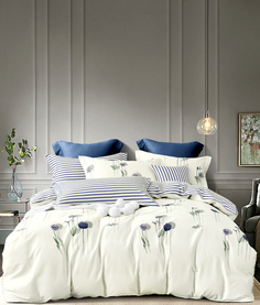 Постельное белье из твила TANGO TPIG2-1037-70 70х70 2шт 2-спальное