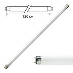 Лампочка 450768 Philips