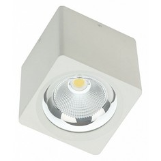 Накладной светильник Fiberli CH-SD220 12120101 Escada