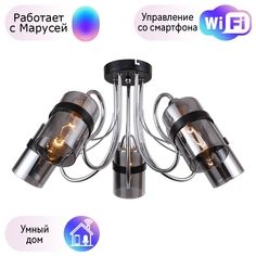 Потолочная люстра F-Promo Affable с поддержкой Маруся 2351-5U-М