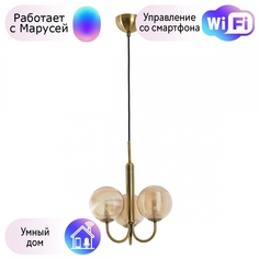 Подвесная люстра Favourite Idem с поддержкой Маруся 2723-3P-М
