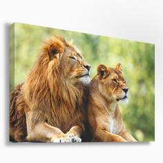 Картина Postermarket Лев и львица 60х90 см интерьерная на холсте