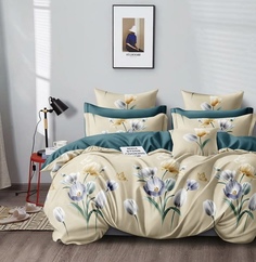 Постельное белье Sleeping place 2х спальный, Поплин, наволочка 70х70