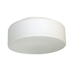 Настенно-потолочный светильник ЭЛЕТЕХ "Диско" 300 НПО 22-2х60-210 опал матовый