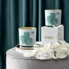 Ароматическая свеча Togas Шафран и мед 330 г