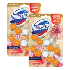 Комплект Блок для очищения унитаза Domestos POWER 5 Экзотический букет Дуо 2х50 г х 2 шт