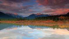 Картина на холсте 60x110 LinxOne Природа, пейзаж, натура, флора