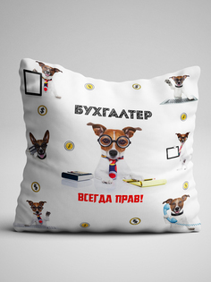Подушка декоративная Чаппай Бухгалтер всегда прав, 40х40 см No Brand