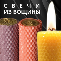Свечи из натуральной пчелиной вощины цветные 3 шт в подарочной упаковке высота 13.5 см No Brand