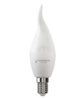 Лампочка светодиодная Thomson, TH-B2029, 10W, E14 (комплект 10 шт.)