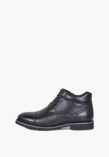 Ботинки Pierre Cardin