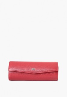 Чехол для очков Petek