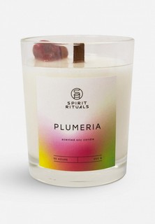 Свеча ароматическая Spirit Rituals