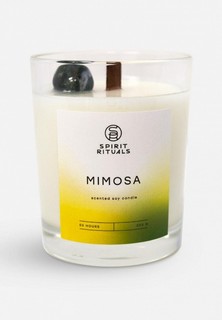 Свеча ароматическая Spirit Rituals