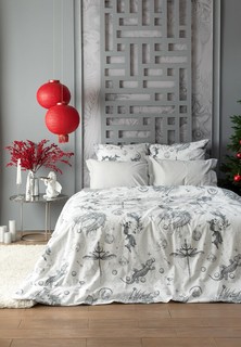 Постельное белье Евро Cozy Home