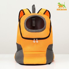 Рюкзак-переноска для животных, максимальный вес 16 кг, 36 х 21 х 45 см, оранжевый Пижон